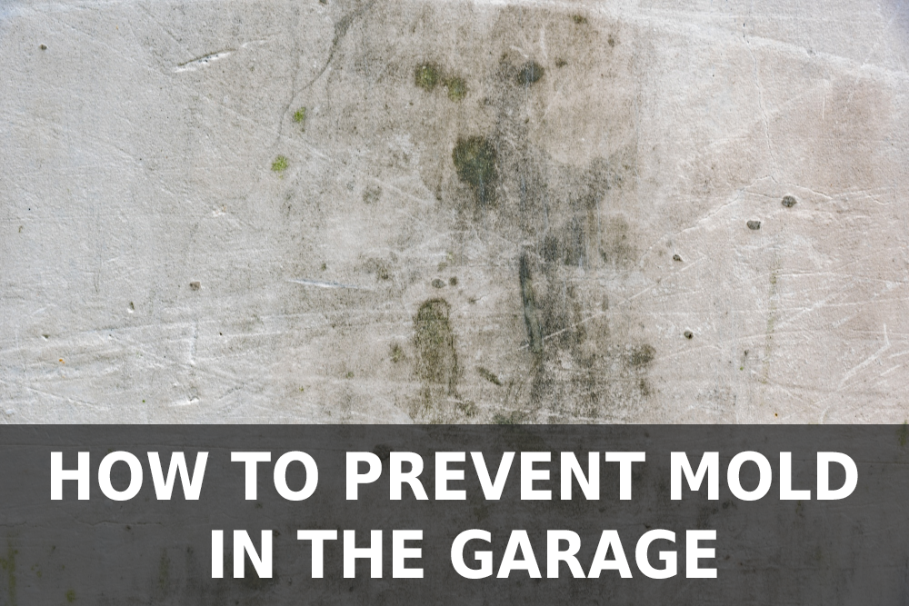 How to Prevent Mold in the Garage